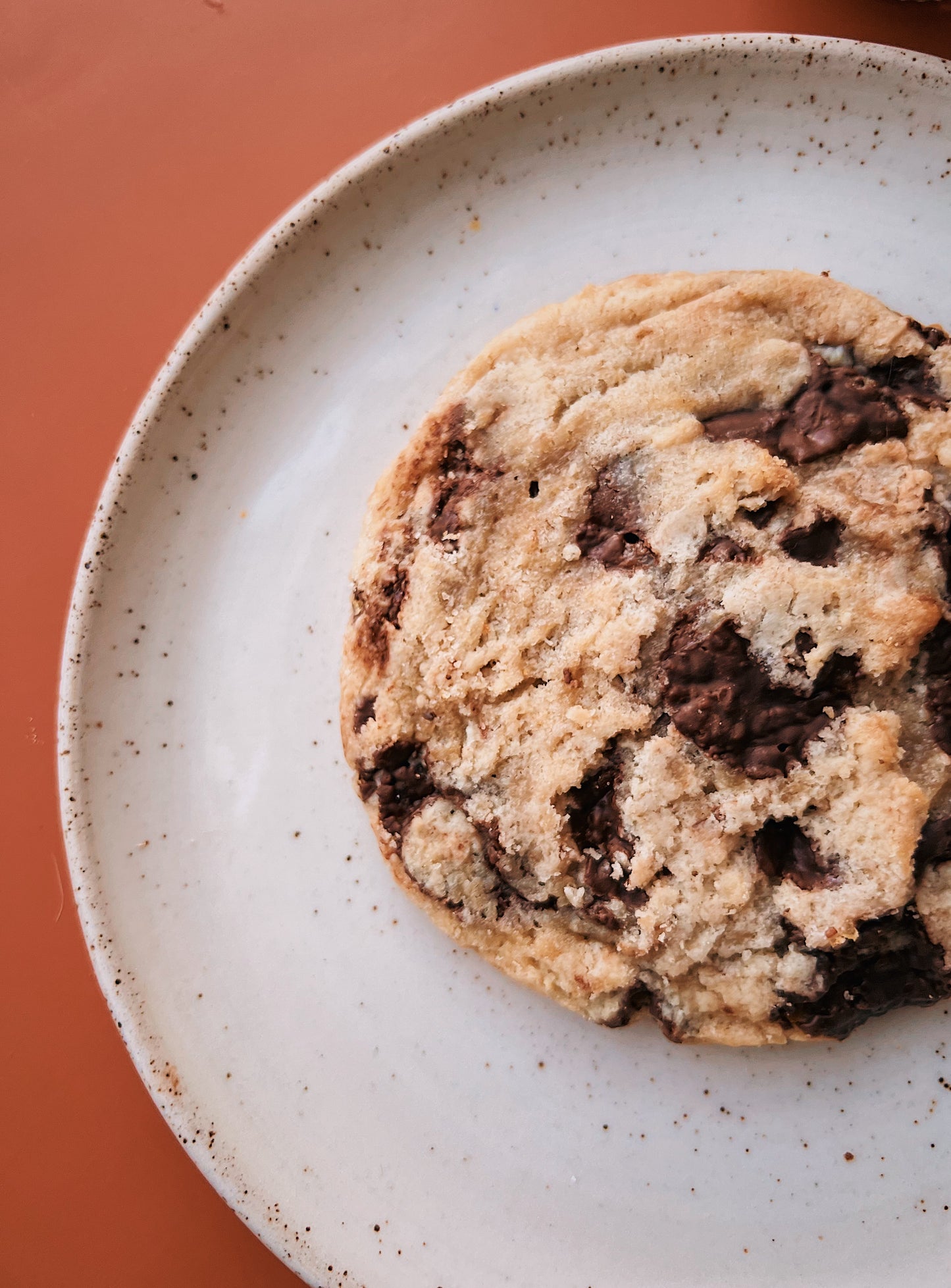 Chocolate Chip